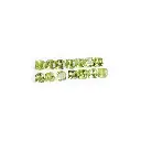 Set of 14 (0.4 ct.) Peridot in cushion cut